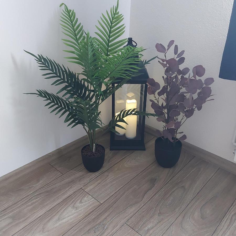 Apartament Antonias Фегераш Екстер'єр фото